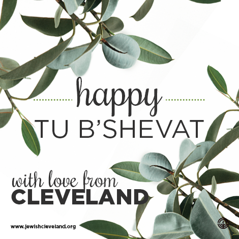 Three Ways You Can Celebrate Tu B'Shevat
