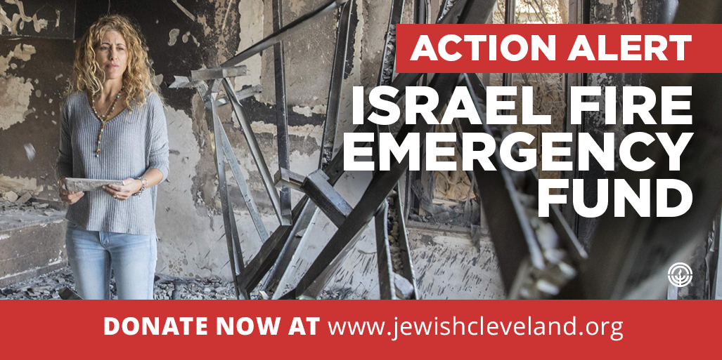 Donate Now: Israel Fire Emergency Fund