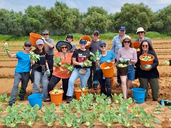 Updates from Volunteer Mission to Israel