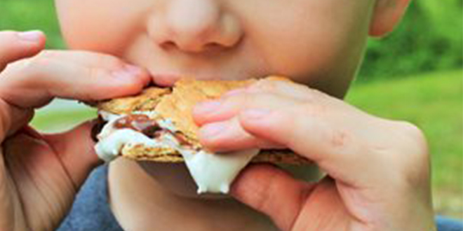 5 S'mores Recipes For Lag B'Omer