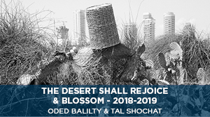 The Desert Shall Rejoice & Blossom - Oded Balilty